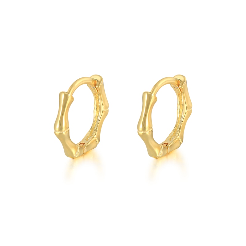 Small silver earrings