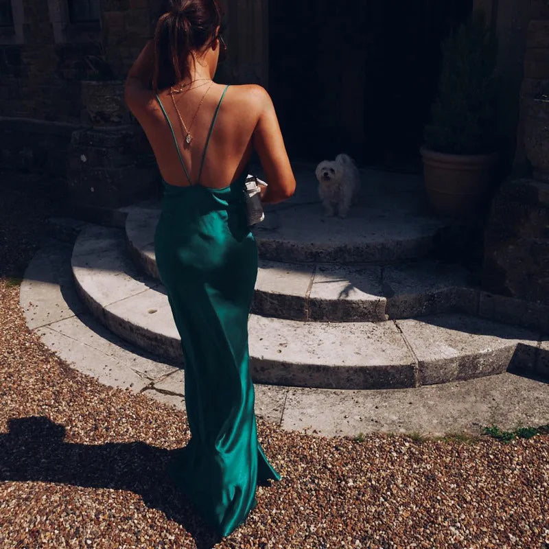 Elegant Maxi Long dress