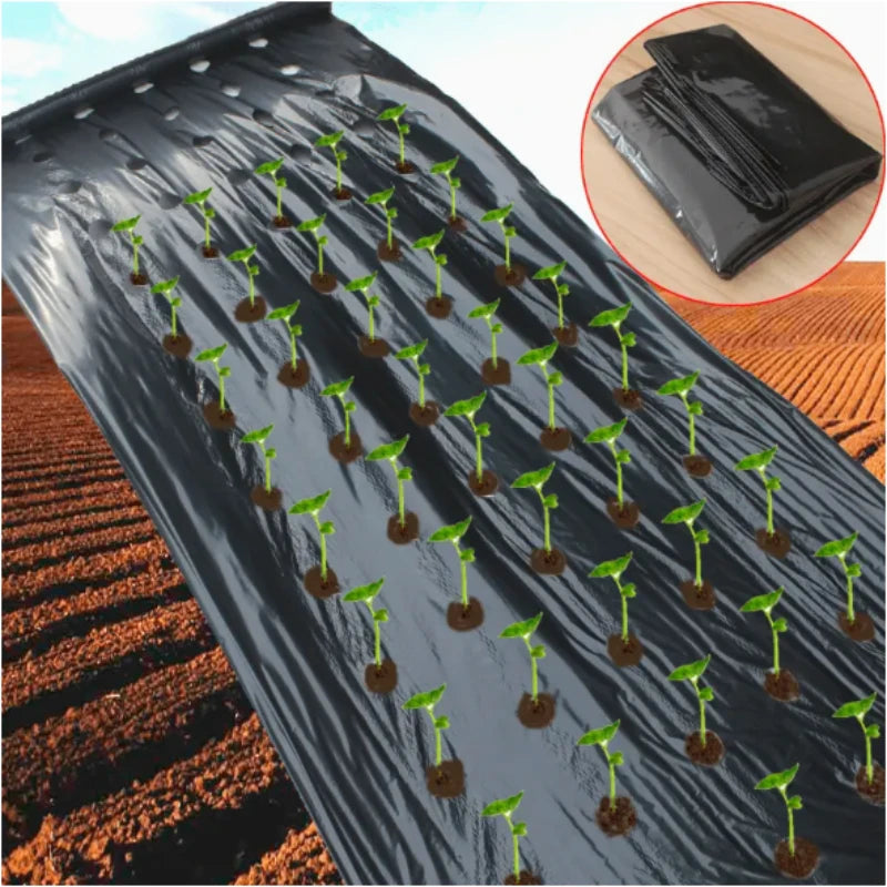 1pc Black Film Vegetable Garden Vegetable Seedling Plants GrowFilms Protection Cove