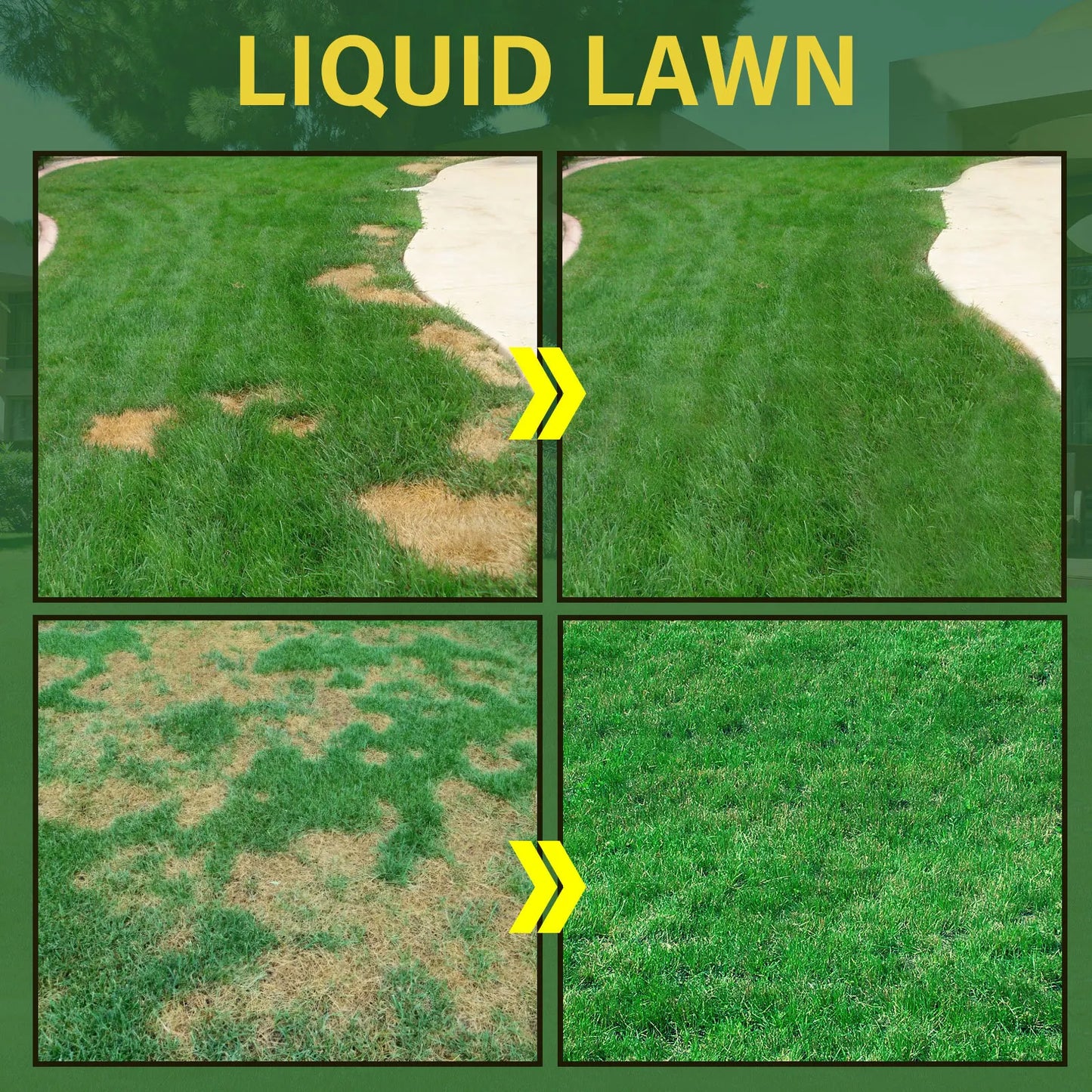 Green Grass Lawn Spray Grass Liquid Lawn Paint