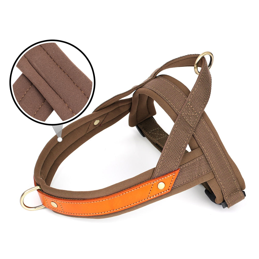 No Pull Dog Harness