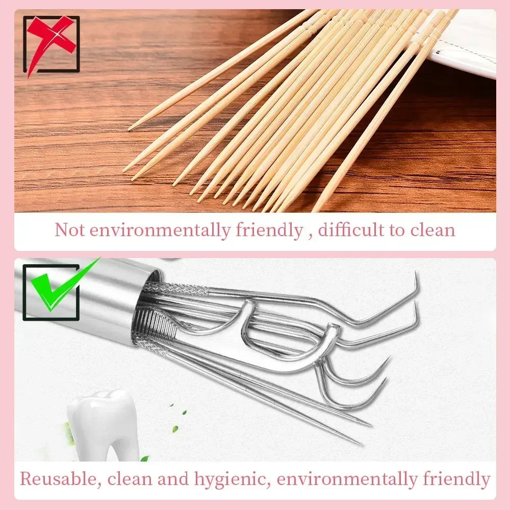 Stainless Steel Toothpick Set Reusable