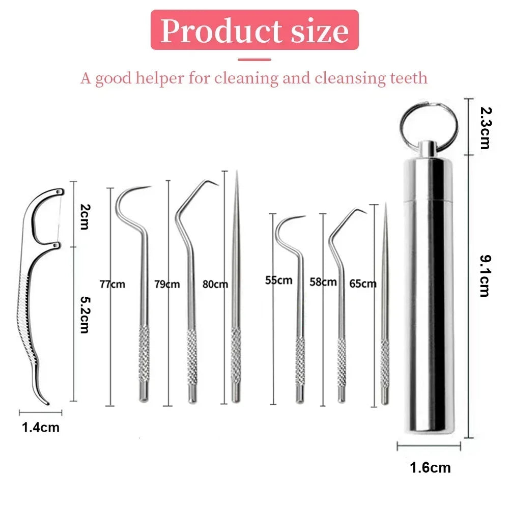 Stainless Steel Toothpick Set Reusable