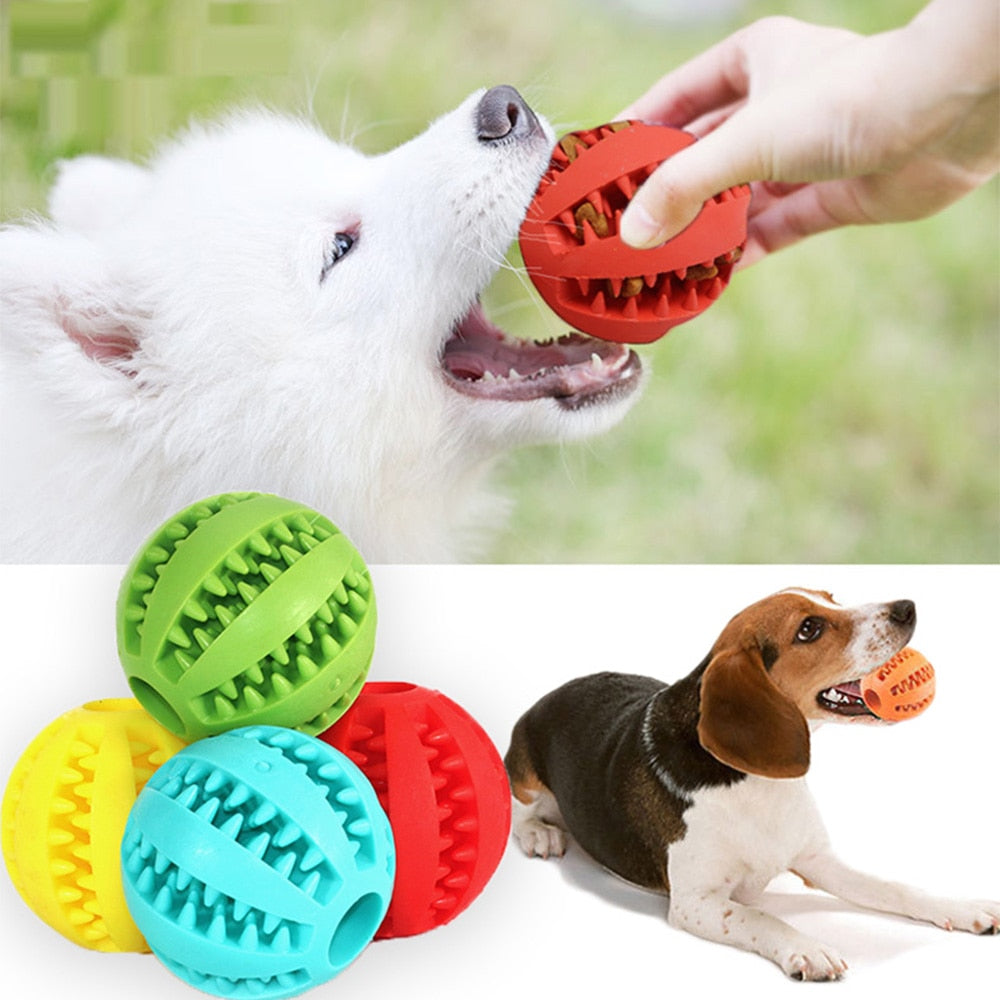 Interactive Rubber Balls for Pet