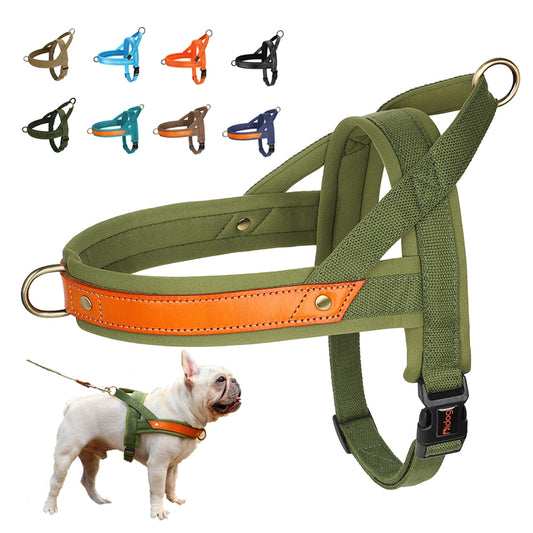 No Pull Dog Harness