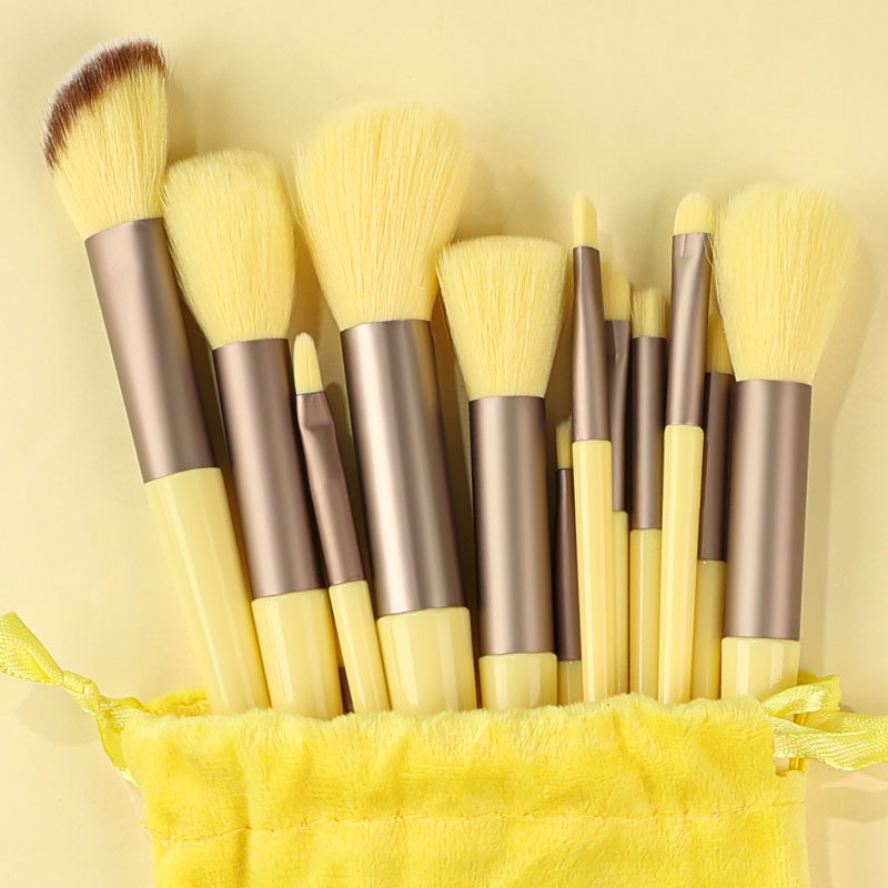 13PCS Makeup Brushes Set