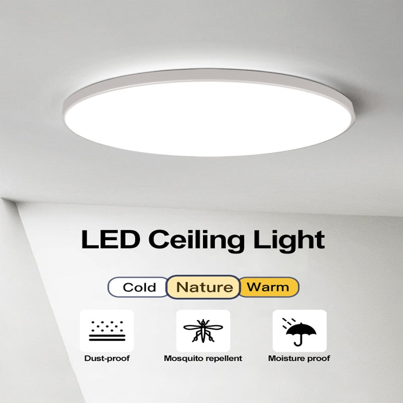 LED Ceiling Lights